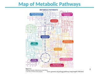 GLYCOLYSIS Glycolysis is the process of breaking down glucose,.ppt