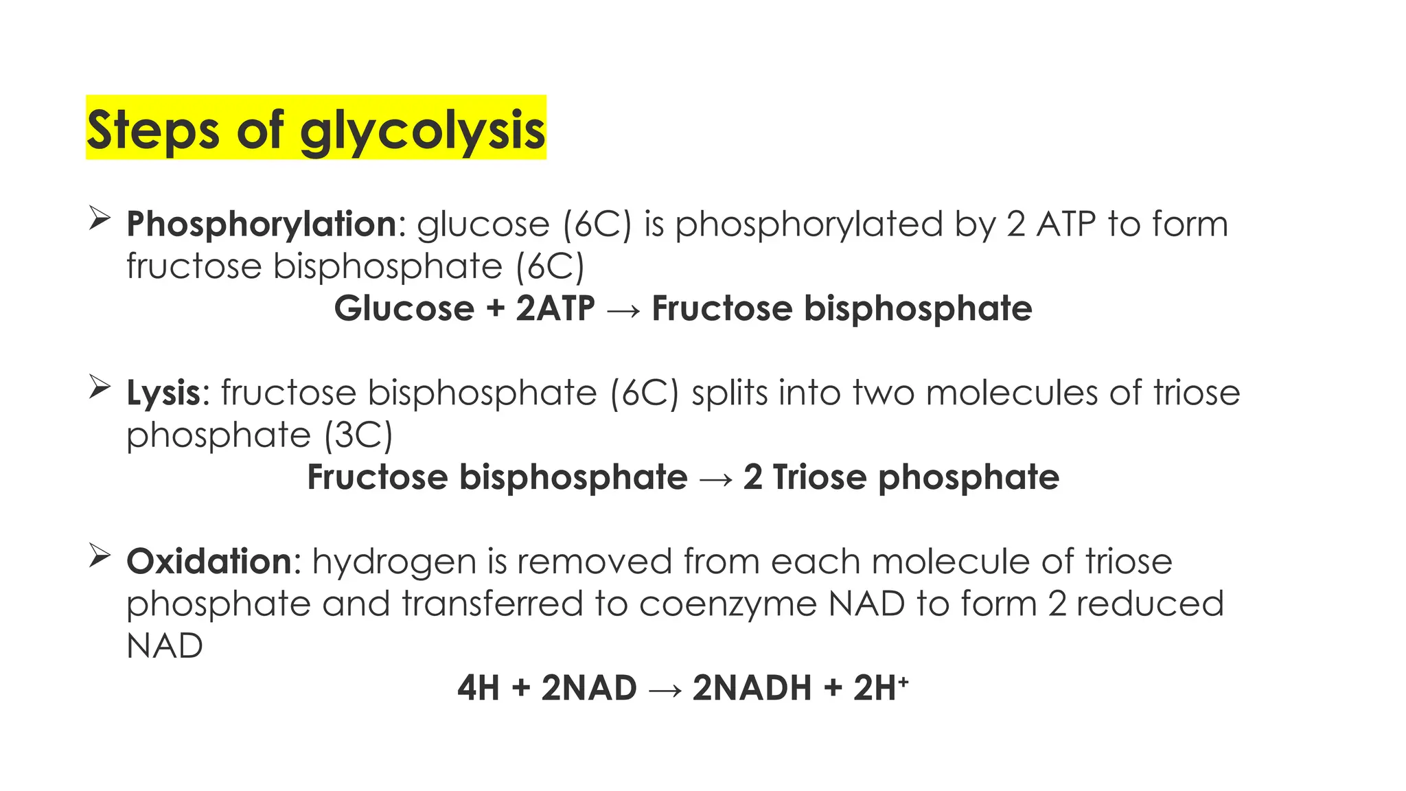 GLYCOLYSIS powerpoint presentation. Cellular respiration | PPTX