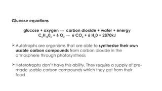 GLYCOLYSIS powerpoint presentation. Cellular respiration | PPTX