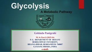 Glycolysis
A Metabolic Pathway
Gobinda Panigrahi
M. Sc Part-I (2015-16)
P. G. DEPARTMENT OF BOTANY
BERHAMPUR UNIVERSITY,
BHANJA BIHAR, BERHAMPUR- 760007
GANJAM, ODISHA, INDIA
e-mail-
 