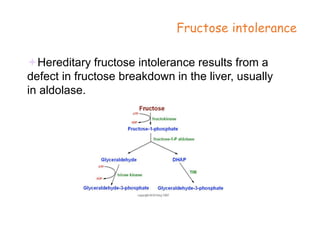 Glycolysis - biochemistry of cells | PPT