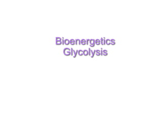 Bioenergetics
Glycolysis
 