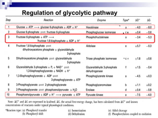 Regulation of glycolytic pathway
 