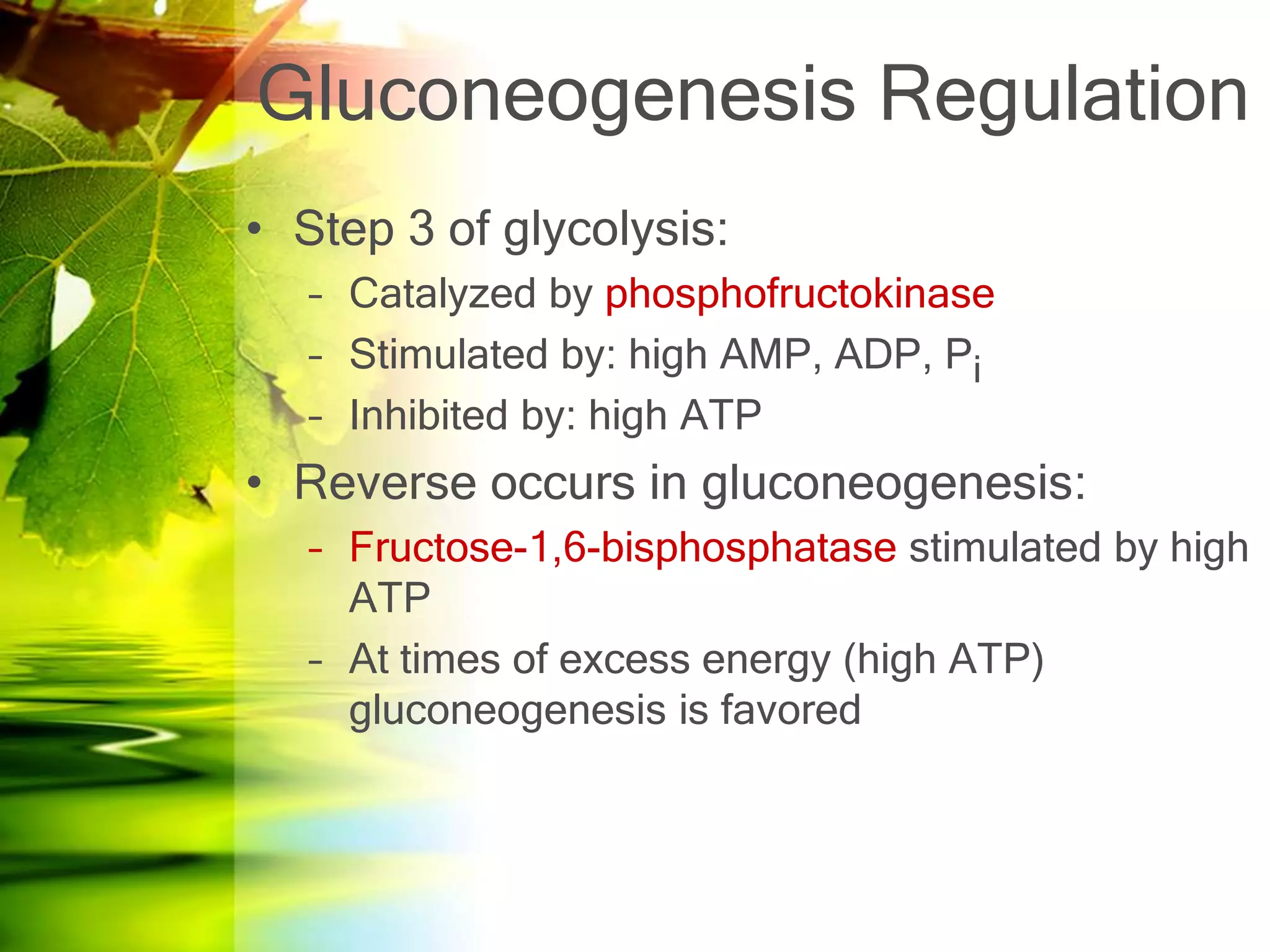 Glycolysis and gluconeogenesis | PPTX