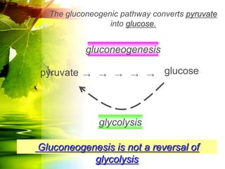 The gluconeogenic pathway converts pyruvate
                 into glucose.


           gluconeogenesis

pyruvate   →   →   →   →    →   glucose




               glycolysis

Gluconeogenesis is not a reversal of
           glycolysis
 