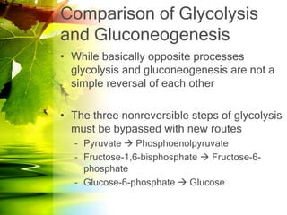 Comparison of Glycolysis
and Gluconeogenesis
• While basically opposite processes
  glycolysis and gluconeogenesis are not a
  simple reversal of each other

• The three nonreversible steps of glycolysis
  must be bypassed with new routes
  – Pyruvate  Phosphoenolpyruvate
  – Fructose-1,6-bisphosphate  Fructose-6-
    phosphate
  – Glucose-6-phosphate  Glucose
 