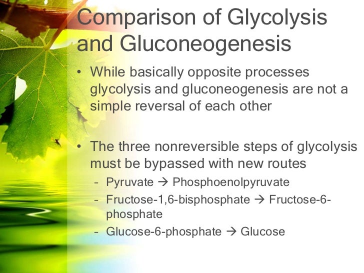 3 bypass reactions of gluconeogenesis Glycolysis and gluconeogenesis