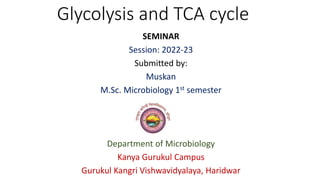 Glycolysis and TCA cycle
SEMINAR
Session: 2022-23
Submitted by:
Muskan
M.Sc. Microbiology 1st semester
Department of Microbiology
Kanya Gurukul Campus
Gurukul Kangri Vishwavidyalaya, Haridwar
 
