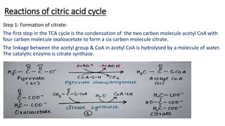Reactions of citric acid cycle
Step 1: Formation of citrate-
The first step in the TCA cycle is the condensation of the tw...