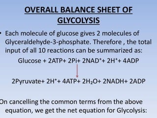 Glycolysis biochemistry