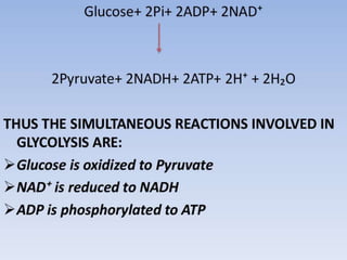 Glycolysis biochemistry