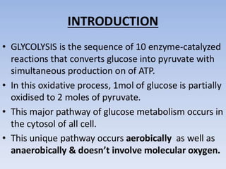Glycolysis biochemistry