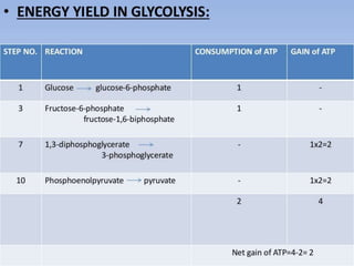 Glycolysis biochemistry