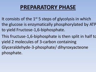 Glycolysis biochemistry