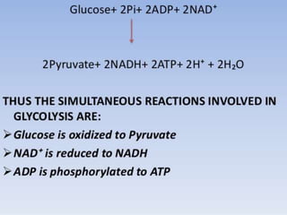 glycolysis bsc-1 (1).pptx