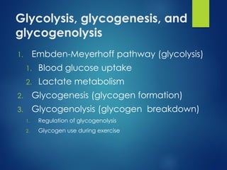 Glycolysis, glycogenesis, and
glycogenolysis
1. Embden-Meyerhoff pathway (glycolysis)
1. Blood glucose uptake
2. Lactate metabolism
2. Glycogenesis (glycogen formation)
3. Glycogenolysis (glycogen breakdown)
1. Regulation of glycogenolysis
2. Glycogen use during exercise
 