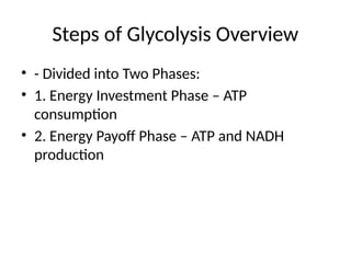 Glycolysis pathway and regulation Presentation.pptx