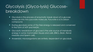 Glycolysis (Glyco-lysis) Glucose-
breakdown
 Glycolysis is the process of enzymatic break down of a glucose
molecule into two pyruvate molecule. Pyruvate is a 3-carbon
compound.
 During glycolysis some of the free energy is released and conserved
in the form of ATP and NADH.
 Glycolytic breakdown of glucose is the sole source of metabolic
energy in some mammalian tissues and cells (RBCs, Brain, Renal
medulla and Sperm cell).
 Anaerobic microorganisms are entirely dependent on glycolysis.
 