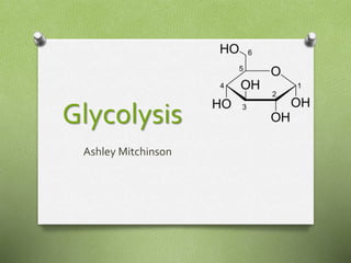 Glycolysis
Ashley Mitchinson
 