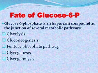 Fate of Glucose-6-P
Glucose 6-phosphate is an important compound at
the junction of several metabolic pathways:
 Glycolysis
 Gluconeogenesis
 Pentose phosphate pathway,
 Glycogenesis
 Glycogenolysis
 