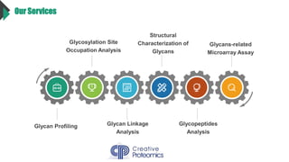 Our Services
Glycan Profiling Glycan Linkage
Analysis
Glycopeptides
Analysis
Glycosylation Site
Occupation Analysis
Structural
Characterization of
Glycans
Glycans-related
Microarray Assay
 