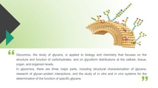 Glycomics, the study of glycans, is applied to biology and chemistry that focuses on the
structure and function of carbohydrates, and on glycoform distributions at the cellular, tissue,
organ, and organism levels.
In glycomics, there are three major parts, including structural characterization of glycans,
research of glycan–protein interactions, and the study of in vitro and in vivo systems for the
determination of the function of specific glycans.
 