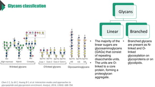 Glycans classfication
Glycans
Linear Branched
• The majority of the
linear sugars are
glycosaminoglycans
(GAGs) that consist
of repeating
disaccharide units.
• The units are O-
linked to a core
protein, forming a
proteoglycan
aggregate.
• Branched glycans
are present as N-
linked and O-
linked
glycosylation on
glycoproteins or on
glycolipids.
Chen C C, Su W C, Huang B Y, et al. Interaction modes and approaches to
glycopeptide and glycoprotein enrichment. Analyst, 2014, 139(4): 688-704.
 