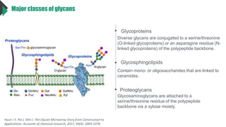 Major classes of glycans
Glycoproteins
Glycosphingolipids
Proteoglycans
Diverse glycans are conjugated to a serine/threonine
(O-linked glycoproteins) or an asparagine residue (N-
linked glycoproteins) of the polypeptide backbone.
Contain mono- or oligosaccharides that are linked to
ceramides.
Glycosaminoglycans are attached to a
serine/threonine residue of the polypeptide
backbone via a xylose moiety.
Hyun J Y, Pai J, Shin I. The Glycan Microarray Story from Construction to
Applications. Accounts of chemical research, 2017, 50(4): 1069-1078.
 