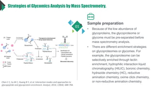Strategies of Glycomics Analysis by Mass Spectrometry.
Sample preparation
• Because of the low abundance of
glycoproteins, the glycoproteome or
glycome must be pre-separated before
mass spectrometry analysis.
• There are different enrichment strategies
on glycoproteomes or glycomes. For
example, the glycoproteome can be
selectively enriched through lectin
enrichment, hydrophilic interaction liquid
chromatography (HILIC), boronic chemistry,
hydrazide chemistry (HC), reductive
amination chemistry, oxime click chemistry,
or non-reductive amination chemistry.
01
Chen C C, Su W C, Huang B Y, et al. Interaction modes and approaches to
glycopeptide and glycoprotein enrichment. Analyst, 2014, 139(4): 688-704.
 