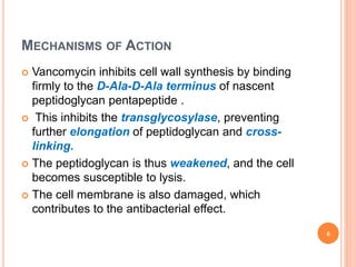 MECHANISMS OF ACTION
 Vancomycin inhibits cell wall synthesis by binding
firmly to the D-Ala-D-Ala terminus of nascent
peptidoglycan pentapeptide .
 This inhibits the transglycosylase, preventing
further elongation of peptidoglycan and cross-
linking.
 The peptidoglycan is thus weakened, and the cell
becomes susceptible to lysis.
 The cell membrane is also damaged, which
contributes to the antibacterial effect.
6
 