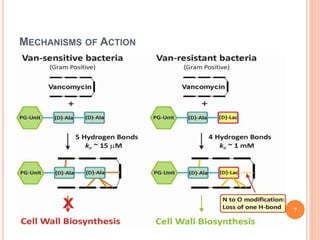MECHANISMS OF ACTION
7
 