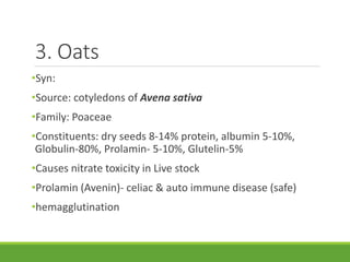 3. Oats
•Syn:
•Source: cotyledons of Avena sativa
•Family: Poaceae
•Constituents: dry seeds 8-14% protein, albumin 5-10%,
Globulin-80%, Prolamin- 5-10%, Glutelin-5%
•Causes nitrate toxicity in Live stock
•Prolamin (Avenin)- celiac & auto immune disease (safe)
•hemagglutination
 
