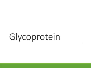 Glycoprotein
 