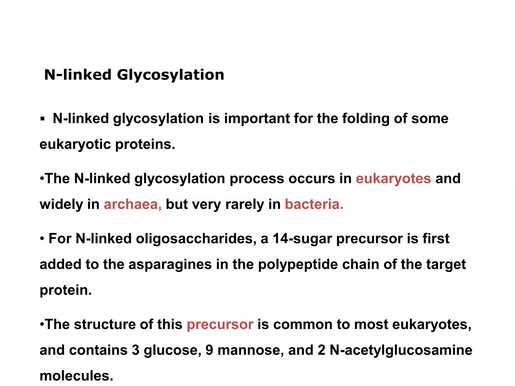  N-linked glycosylation is important for the folding of some
eukaryotic proteins.
•The N-linked glycosylation process occurs in eukaryotes and
widely in archaea, but very rarely in bacteria.
• For N-linked oligosaccharides, a 14-sugar precursor is first
added to the asparagines in the polypeptide chain of the target
protein.
•The structure of this precursor is common to most eukaryotes,
and contains 3 glucose, 9 mannose, and 2 N-acetylglucosamine
molecules.
N-linked Glycosylation
 
