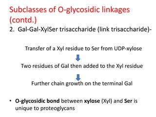 Subclasses of O-glycosidic linkages
(contd.)
2. Gal-Gal-XylSer trisaccharide (link trisaccharide)-
Transfer of a Xyl residue to Ser from UDP-xylose
Two residues of Gal then added to the Xyl residue
Further chain growth on the terminal Gal
• O-glycosidic bond between xylose (Xyl) and Ser is
unique to proteoglycans
 