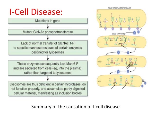 Glycoproteins