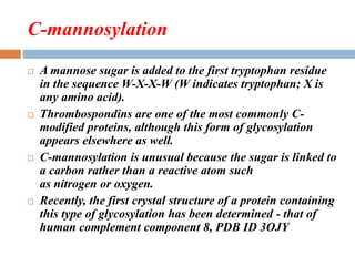 C-mannosylation
 A mannose sugar is added to the first tryptophan residue
in the sequence W-X-X-W (W indicates tryptophan; X is
any amino acid).
 Thrombospondins are one of the most commonly C-
modified proteins, although this form of glycosylation
appears elsewhere as well.
 C-mannosylation is unusual because the sugar is linked to
a carbon rather than a reactive atom such
as nitrogen or oxygen.
 Recently, the first crystal structure of a protein containing
this type of glycosylation has been determined - that of
human complement component 8, PDB ID 3OJY
 