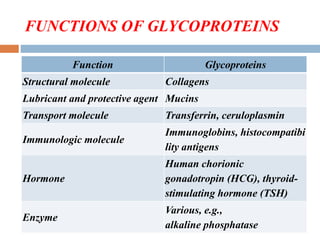 FUNCTIONS OF GLYCOPROTEINS
Function Glycoproteins
Structural molecule Collagens
Lubricant and protective agent Mucins
Transport molecule Transferrin, ceruloplasmin
Immunologic molecule
Immunoglobins, histocompatibi
lity antigens
Hormone
Human chorionic
gonadotropin (HCG), thyroid-
stimulating hormone (TSH)
Enzyme
Various, e.g.,
alkaline phosphatase
 