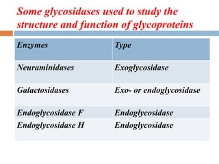 Some glycosidases used to study the
structure and function of glycoproteins
Enzymes Type
Neuraminidases Exoglycosidase
Galactosidases Exo- or endoglycosidase
Endoglycosidase F Endoglycosidase
Endoglycosidase H Endoglycosidase
 