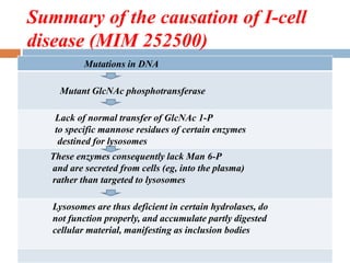 Summary of the causation of I-cell
disease (MIM 252500)
Mutations in DNA
Mutant GlcNAc phosphotransferase
Lack of normal transfer of GlcNAc 1-P
to specific mannose residues of certain enzymes
destined for lysosomes
These enzymes consequently lack Man 6-P
and are secreted from cells (eg, into the plasma)
rather than targeted to lysosomes
Lysosomes are thus deficient in certain hydrolases, do
not function properly, and accumulate partly digested
cellular material, manifesting as inclusion bodies
 