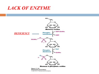 LACK OF ENZYME
DEFICIENCY
 