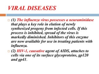 VIRAL DISEASES
 (1) The influenza virus possesses a neuraminidase
that plays a key role in elution of newly
synthesized progeny from infected cells. If this
process is inhibited, spread of the virus is
markedly diminished. Inhibitors of this enzyme
are now available for use in treating patients with
influenza.
 (2) HIV-1, causative agent of AIDS, attaches to
cells via one of its surface glycoproteins, gp120
and gp41.
 