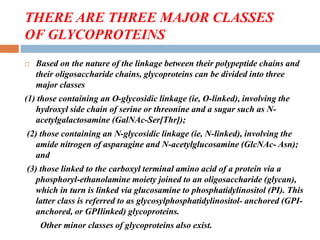 THERE ARE THREE MAJOR CLASSES
OF GLYCOPROTEINS
 Based on the nature of the linkage between their polypeptide chains and
their oligosaccharide chains, glycoproteins can be divided into three
major classes
(1) those containing an O-glycosidic linkage (ie, O-linked), involving the
hydroxyl side chain of serine or threonine and a sugar such as N-
acetylgalactosamine (GalNAc-Ser[Thr]);
(2) those containing an N-glycosidic linkage (ie, N-linked), involving the
amide nitrogen of asparagine and N-acetylglucosamine (GlcNAc- Asn);
and
(3) those linked to the carboxyl terminal amino acid of a protein via a
phosphoryl-ethanolamine moiety joined to an oligosaccharide (glycan),
which in turn is linked via glucosamine to phosphatidylinositol (PI). This
latter class is referred to as glycosylphosphatidylinositol- anchored (GPI-
anchored, or GPIlinked) glycoproteins.
Other minor classes of glycoproteins also exist.
 