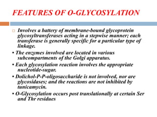 FEATURES OF O-GLYCOSYLATION
 Involves a battery of membrane-bound glycoprotein
glycosyltransferases acting in a stepwise manner; each
transferase is generally specific for a particular type of
linkage.
• The enzymes involved are located in various
subcompartments of the Golgi apparatus.
• Each glycosylation reaction involves the appropriate
nucleotide-sugar.
• Dolichol-P-P-oligosaccharide is not involved, nor are
glycosidases; and the reactions are not inhibited by
tunicamycin.
• O-Glycosylation occurs post translationally at certain Ser
and Thr residues
 