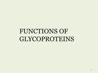 FUNCTIONS OF
GLYCOPROTEINS
13
 