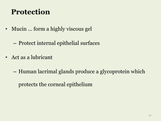 • Mucin … form a highly viscous gel
– Protect internal epithelial surfaces
• Act as a lubricant
– Human lacrimal glands produce a glycoprotein which
protects the corneal epithelium
Protection
15
 