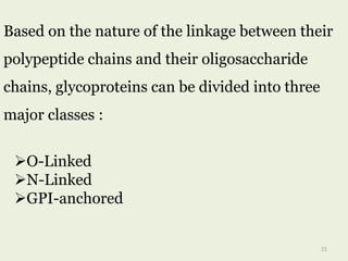 Based on the nature of the linkage between their
polypeptide chains and their oligosaccharide
chains, glycoproteins can be divided into three
major classes :
O-Linked
N-Linked
GPI-anchored
21
 