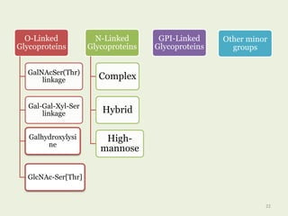 O-Linked
Glycoproteins
GalNAcSer(Thr)
linkage
Gal-Gal-Xyl-Ser
linkage
Galhydroxylysi
ne
GlcNAc-Ser[Thr]
N-Linked
Glycoproteins
Complex
Hybrid
High-
mannose
GPI-Linked
Glycoproteins
Other minor
groups
22
 