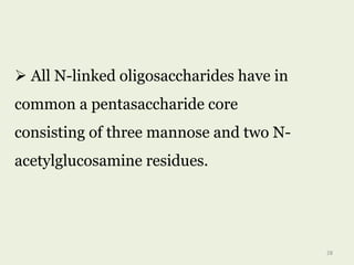  All N-linked oligosaccharides have in
common a pentasaccharide core
consisting of three mannose and two N-
acetylglucosamine residues.
28
 