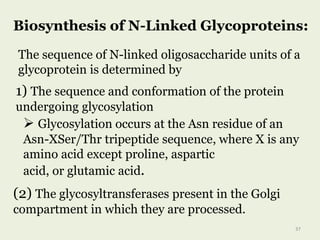 Biosynthesis of N-Linked Glycoproteins:
The sequence of N-linked oligosaccharide units of a
glycoprotein is determined by
1) The sequence and conformation of the protein
undergoing glycosylation
 Glycosylation occurs at the Asn residue of an
Asn-XSer/Thr tripeptide sequence, where X is any
amino acid except proline, aspartic
acid, or glutamic acid.
(2) The glycosyltransferases present in the Golgi
compartment in which they are processed.
37
 